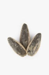 AY ÇEKİRDEĞİ KAVRULMUŞ       (Tuzlu) 500 gr