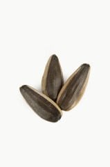 AY ÇEKİRDEĞİ KAVRULMUŞ        500 gr